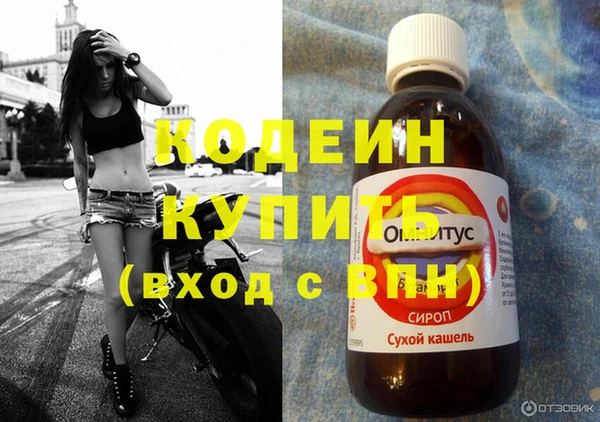 хмурый Кострома