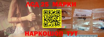 спиды Аргун