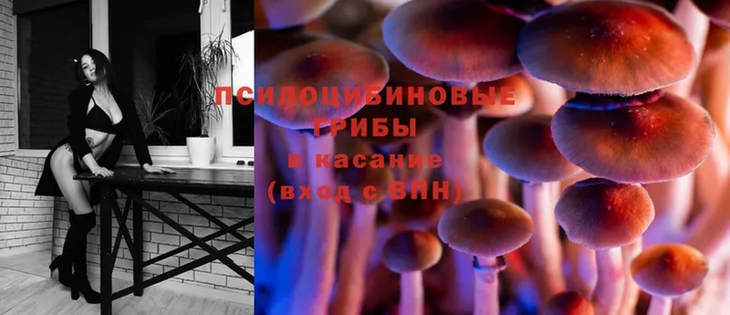 Псилоцибиновые грибы Psilocybe  даркнет сайт  Красноуфимск 