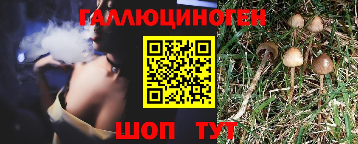 Красноуфимск  Псилоцибиновые грибы ЛСД  Вход с VPN 
