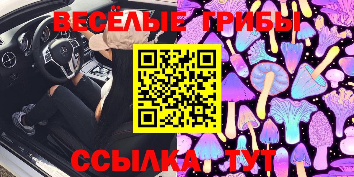Галлюциногенные грибы прущие грибы Красноуфимск